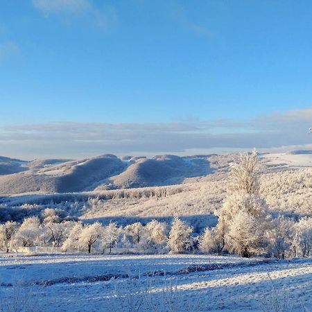 Nature Homestay Trenčín Εξωτερικό φωτογραφία
