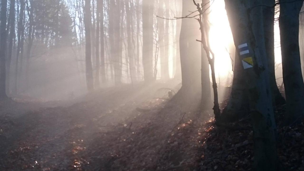 Nature Homestay Trenčín Εξωτερικό φωτογραφία