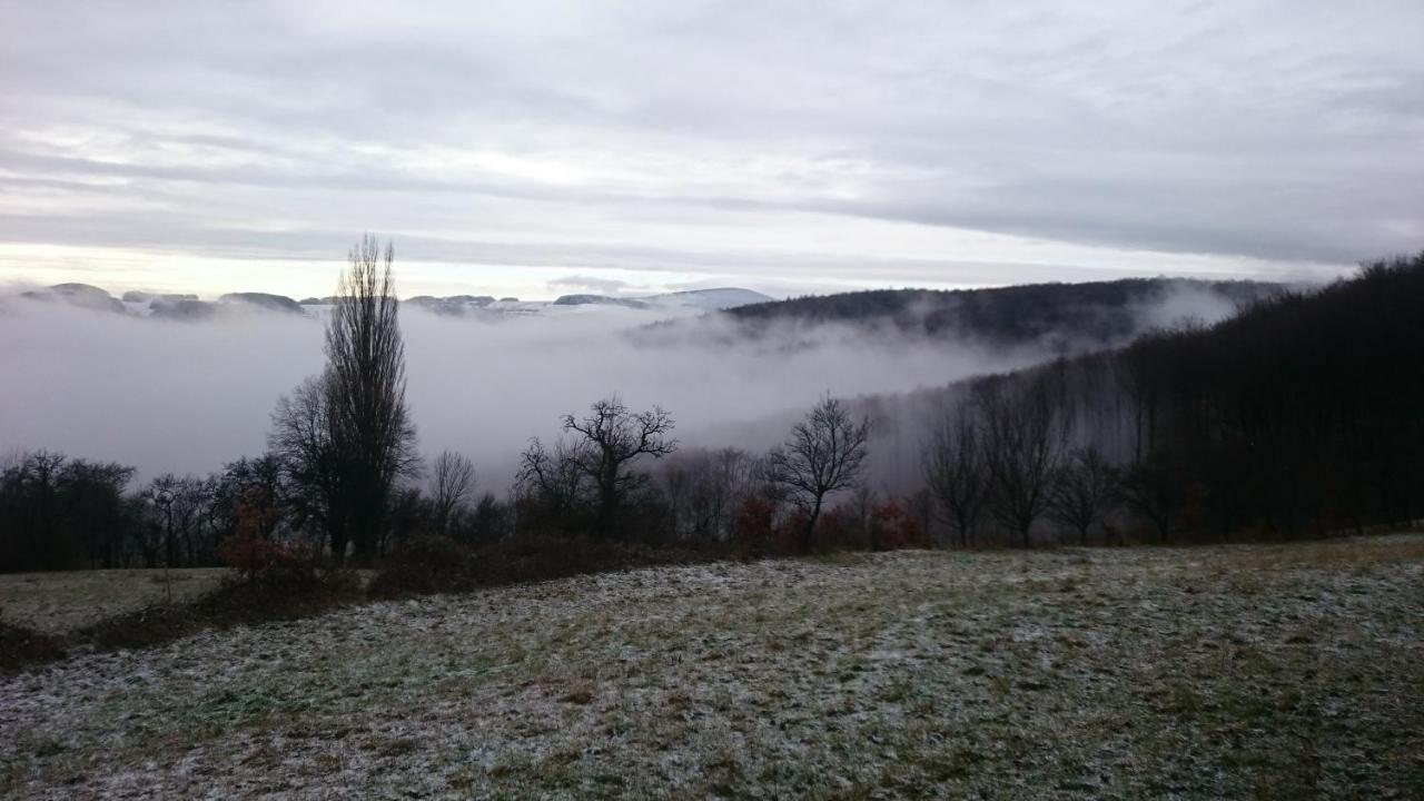 Nature Homestay Trenčín Εξωτερικό φωτογραφία