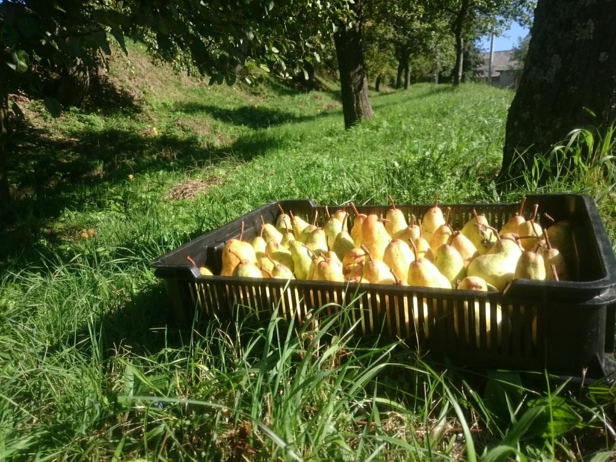 Nature Homestay Trenčín Εξωτερικό φωτογραφία