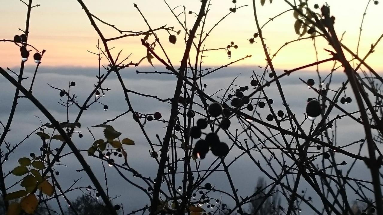 Nature Homestay Trenčín Εξωτερικό φωτογραφία