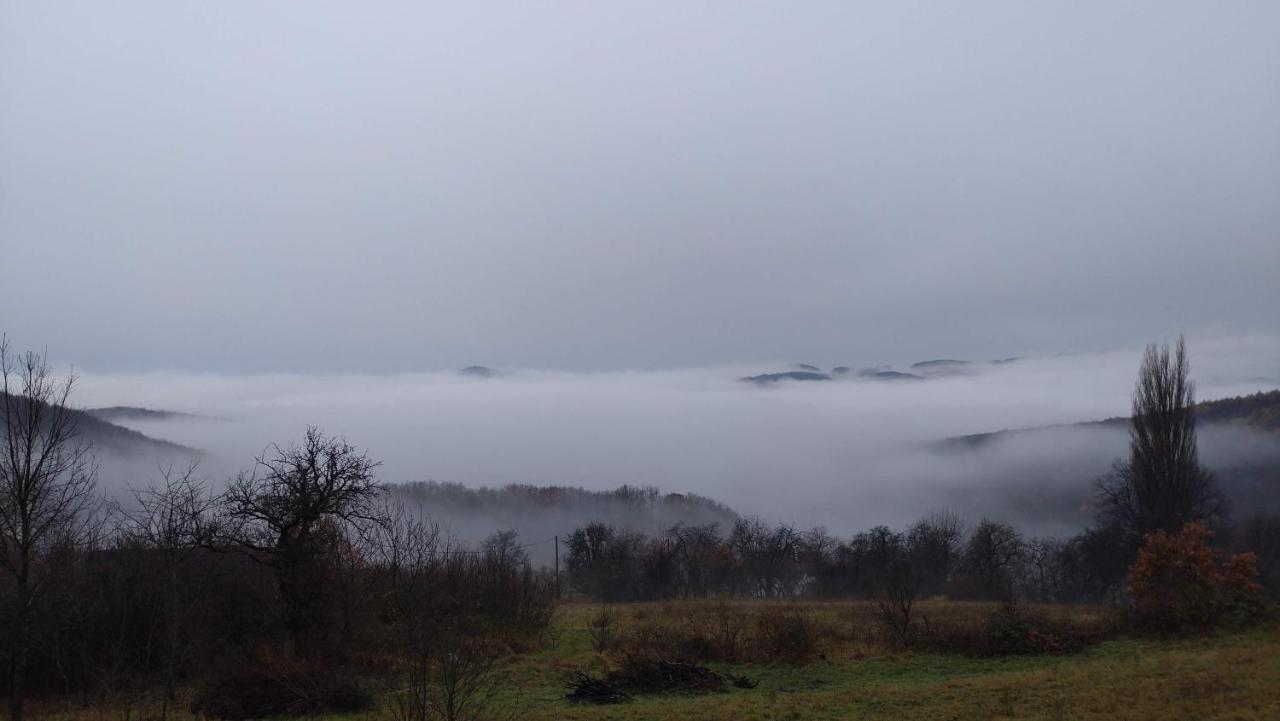 Nature Homestay Trenčín Εξωτερικό φωτογραφία